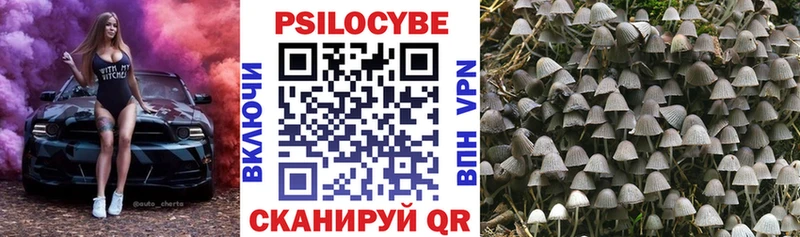 Псилоцибиновые грибы Psilocybine cubensis  Яхрома 